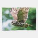 Suche nach flug geschirr tücher Natur