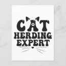 Recherche de expert cartes postales Chat