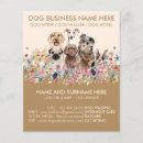 Suche nach braun flyer Hund sitzt