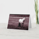 Recherche de la corse vœux cartes Horse