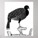 Suche nach bird silhouette poster Animal