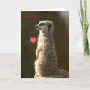 Suche nach st valentinsgrüße Liebhaber