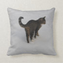 Recherche de tigre photographie Neige