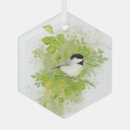 Suche nach kichererbsen ornamente Natur