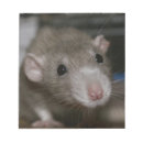 Suche nach ratten notizblock Niedlich