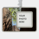 Suche nach wachs ornamente Foto