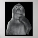 Suche nach lustiger affe poster Familie