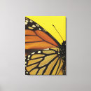 Suche nach hübscher schmetterling leinwandbilder Fotografie