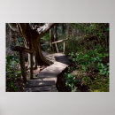 Recherche de forêts tropicales posters Washington