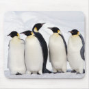 Suche nach kaiser pinguine mousepads In voller länge