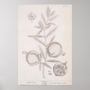Recherche de grenades posters Vintage
