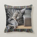 Recherche de chat de sommeil coussins Pour tous