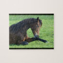 Suche nach grasen puzzle Pony