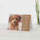 Suche nach ernsthaft karten Freund