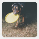 Suche nach mund aufkleber Hund