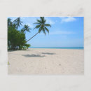 Suche nach seychellen postkarten Sandsand