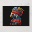 Recherche de perroquet pirate cartes postales Pirates