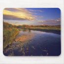 Recherche de rivières tapis souris Pittoresque