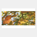 Recherche de feuille automne autocollants Nature