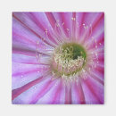 Suche nach schals magnete Blume