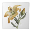 Suche nach botanische fliesen Aquarell