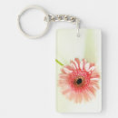 Suche nach gerbera schlüsselanhänger Botanisch