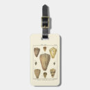 Recherche de coquilles bagages étiquettes Mer