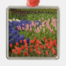 Suche nach hyazinthen ornamente Cindy miller hopkins