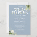 Recherche de fleur des champs Baby in bloom