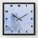 Recherche de renard arctique horloges Neige
