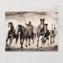 Recherche de de chasse cartes postales Photographie