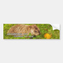 Recherche de jour de groundhog Vous
