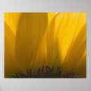 Recherche de tir de studio posters Simplicité