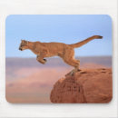 Recherche de vous roche tapis souris Image de couleur