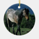 Recherche de mustang ornements Sauvage