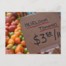 Suche nach heirloom postkarten Tomaten