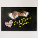 Recherche de jack russell puzzles Amoureux des chiens