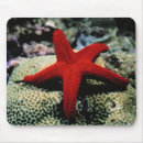 Recherche de mer rouge tapis souris Océan
