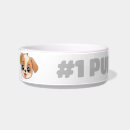 Recherche de urbain animaux articles Dogs