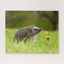 Suche nach igel puzzle Deutschland