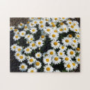 Recherche de daisy puzzles Été