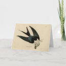 Recherche de faucon vœux cartes Illustration