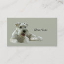 Recherche de amant cartes visite Chien