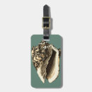Recherche de plage de coquille accessoires Mer