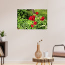 Suche nach rote rose kunst Grün