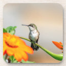 Suche nach kolibris untersetzer Tiere