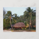 Recherche de arbre exotique cartes postales Palmiers