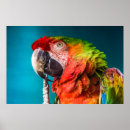 Suche nach photography poster Simple