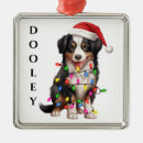 Suche nach australian shepherd ornamente Weihnachten