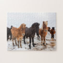 Suche nach isländisches pferd puzzle Superstock